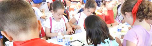 Actividades de la Escuela de Verano de la UP en Fercam 2018