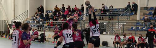 Miguel Bellido Handball Femenino-Soliss BM Pozuelo de Calatrava
