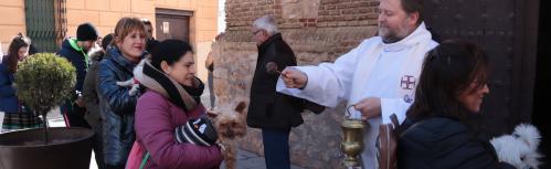 Bendición de animales en la puerta de la ermita de San Antón