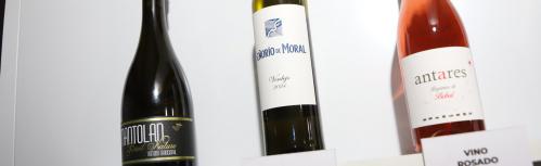 Resultados 53º Concurso a la calidad de vinos - Fercam 2025