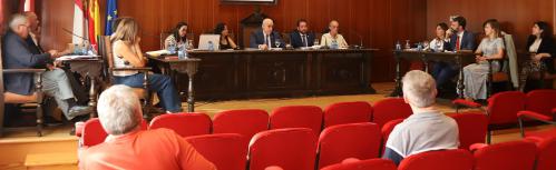 Pleno ordinario julio 2025
