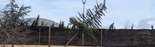 Rachas de viento en Manzanares