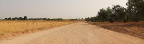 Plan de arreglo de caminos 2026 - Ayuntamiento de Manzanares