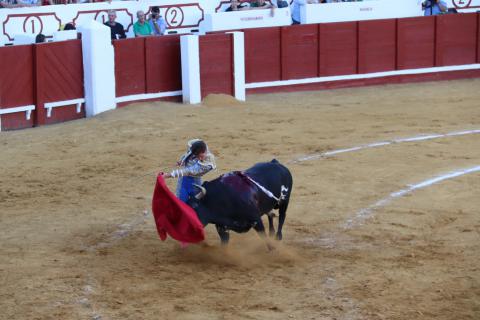 Gran corrida de toros en Manzanares