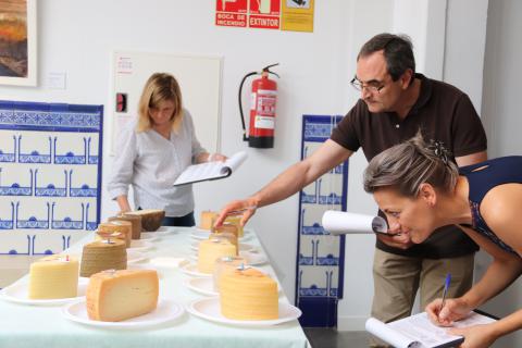 Jurado del concurso de calidad de quesos manchegos