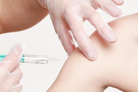 Vacunación contra la gripe (Fotografía de Pixabay)