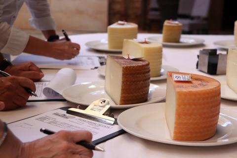 33 Concurso regional calidad quesos manchegos Fercam 2023