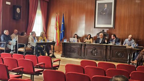 Intervención de Pablo Camacho durante la sesión plenaria