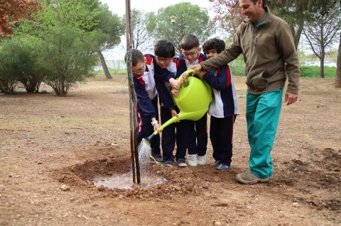Día del Árbol 2026