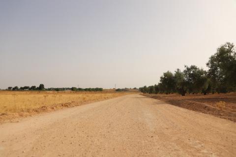 Plan de arreglo de caminos 2026 - Ayuntamiento de Manzanares