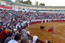 Gran corrida de toros en Manzanares