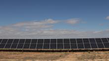 Inauguración del complejo fotovoltaico Kappa (Repsol) en Manzanares