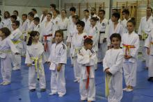 Alumnado de judo