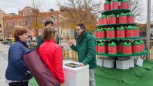 Árbol de Navidad de miniglús en Manzanares (Ecovidrio)