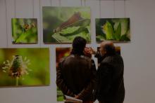 Exposición Pequeños paisajes, Isabel Nieto-Márquez