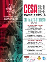 Cartel del campeonato