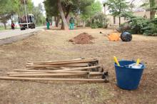 Día del Árbol 2026