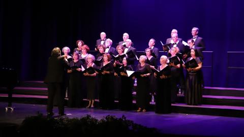 Embedded thumbnail for XXXVI Encuentro Coral Ciudad de Manzanares  - Coral Adagio