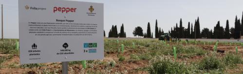 Terrenos del Sector 5 donde se plantó el bosque