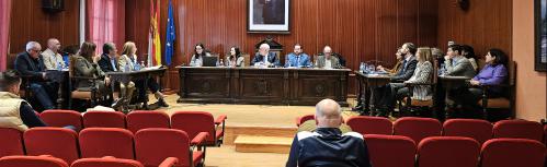 Sesión plenaria de febrero de 2025