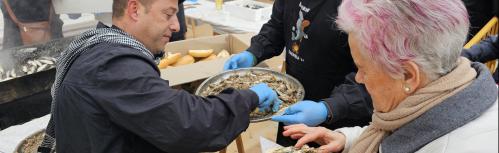 Reparto de sardinas asadas en la plaza de la Constitución