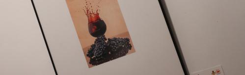 Concurso de fotografía de las XI jornadas 'Alma de Vino'