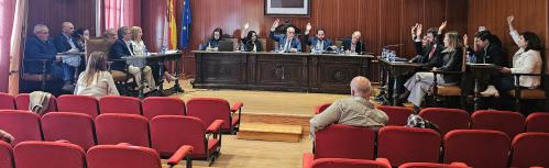 Momento en el que se aprueba la homologación del plan con los votos a favor del Grupo Socialista