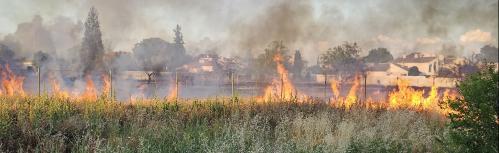 Las hierbas secas propagaron rápidamente el fuego