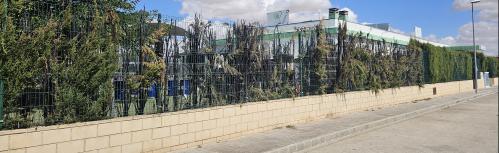 Estado en el que quedó el seto incendiado en La Sede