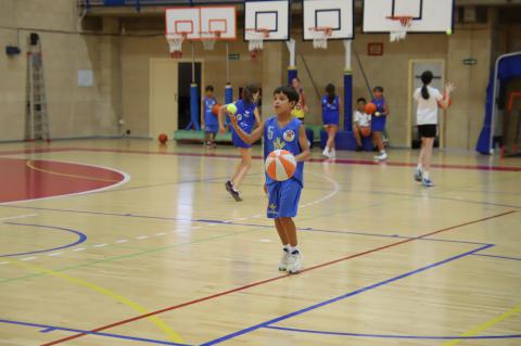 XX campus de basket