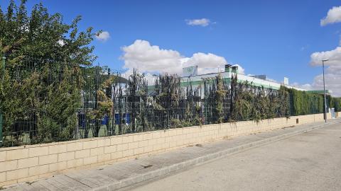 Estado en el que quedó el seto incendiado en La Sede