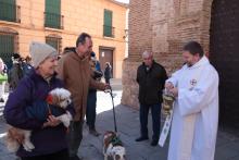 Bendición de animales en la puerta de la ermita de San Antón