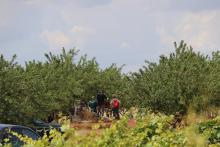 Agentes especializados inspeccionan el interior de un pozo en la segunda finca