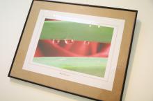 Exposición fotográfica 'Descubre tu esencia' de María Camelia Neacsu