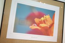 Exposición fotográfica 'Descubre tu esencia' de María Camelia Neacsu
