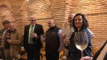 Presentación de los vinos de la cosecha 2025 de Acicate