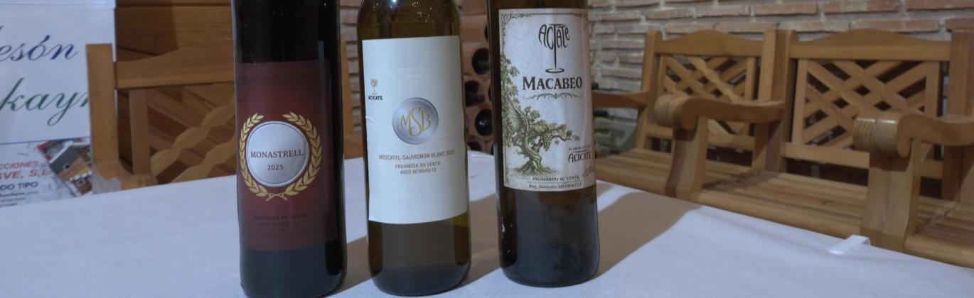 Presentación de los vinos de la cosecha 2025 de Acicate