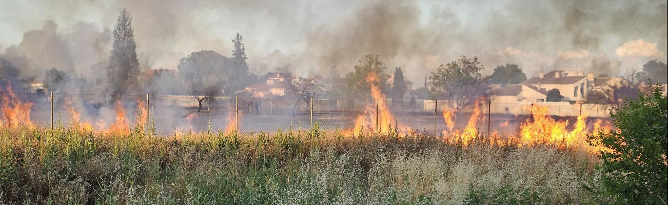 Las hierbas secas propagaron rápidamente el fuego
