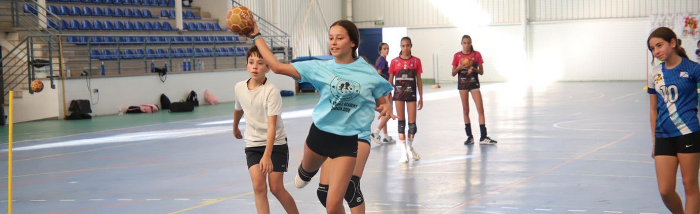 VI Handball Academy